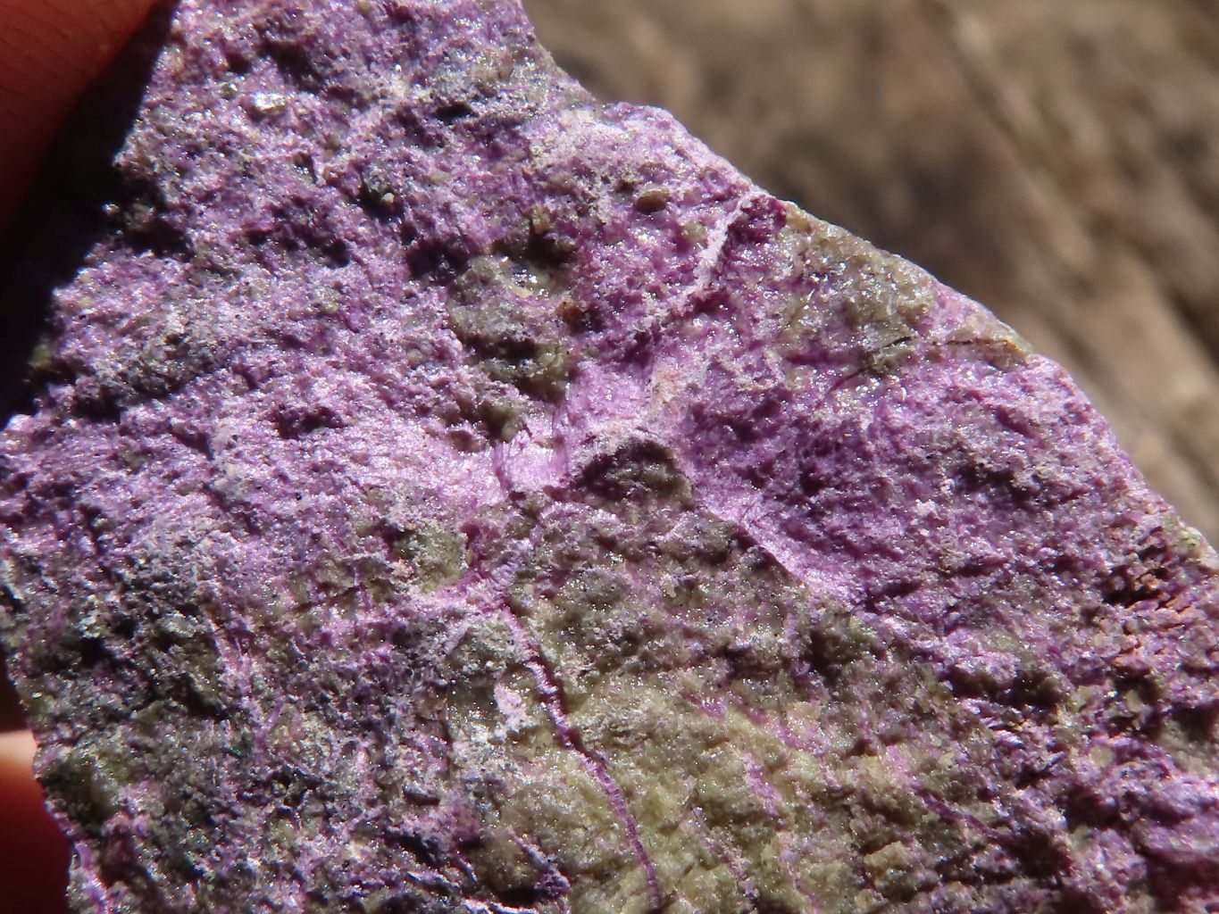 Natural Small Rough Stichtite Specimens  x 186 From Barberton, South Africa - TopRock