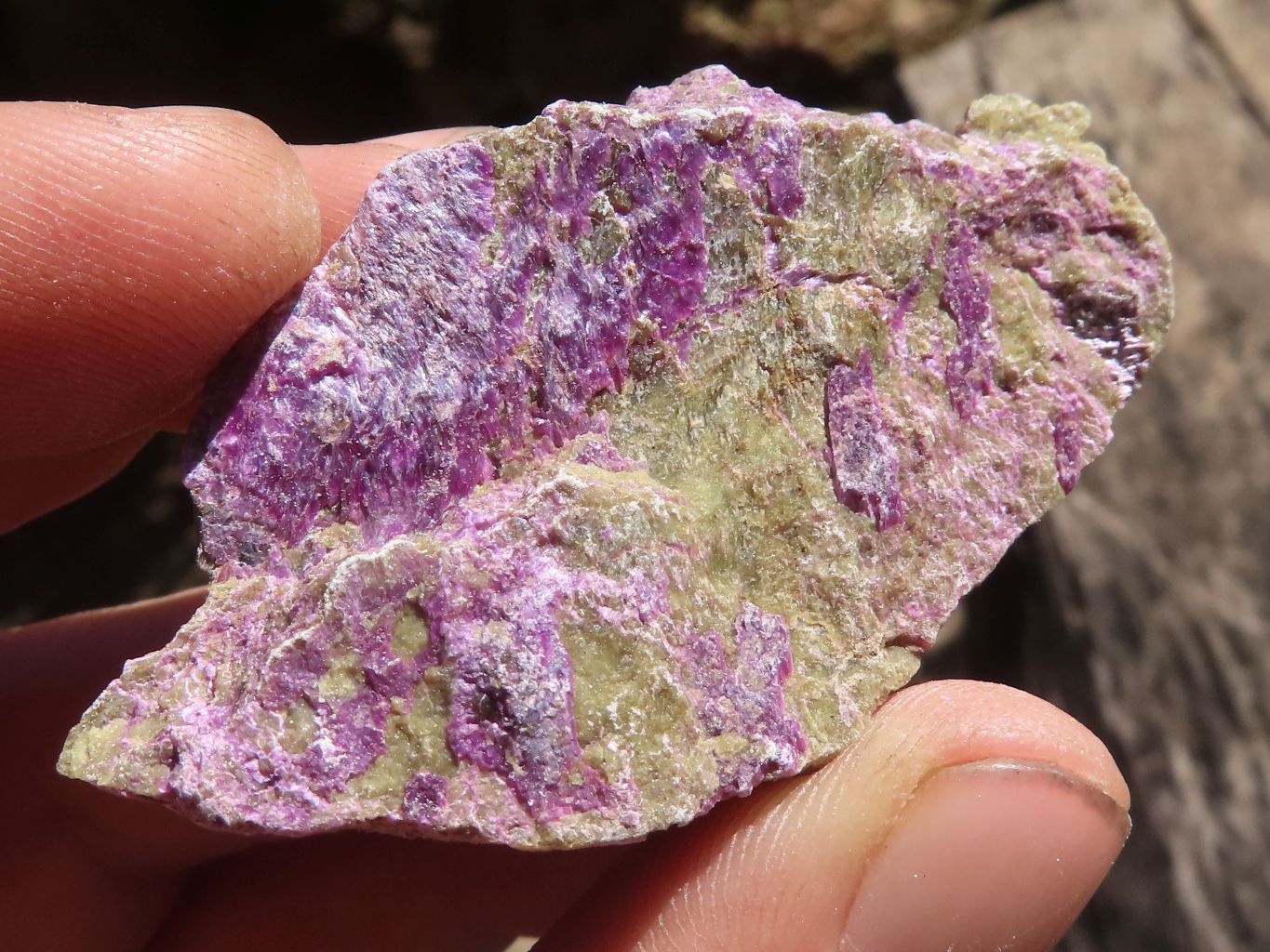 Natural Small Rough Stichtite Specimens  x 186 From Barberton, South Africa - TopRock