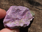 Natural Small Rough Stichtite Specimens  x 186 From Barberton, South Africa - TopRock