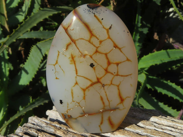 Polished Dendritic Agate Standing Free Forms x 6 From Madagascar - TopRock