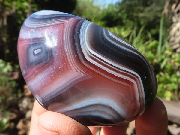 Polished Large Red River Agate Palm Stones  x 12 From Sashe River, Zimbabwe - Toprock Gemstones and Minerals 