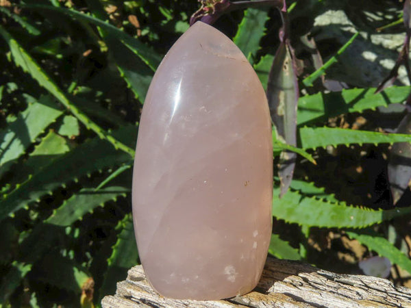Polished Rich Gemmy Rose Quartz Standing Free Forms x 6 From Madagascar