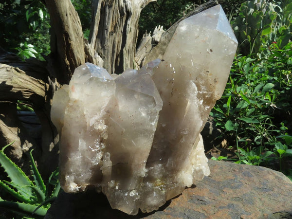 Natural Angolan Extra Extra Large Quartz Cluster x 1 From Angola - TopRock