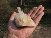 Natural Mixed Selection Of Quartz Clusters x 12 From Madagascar - TopRock
