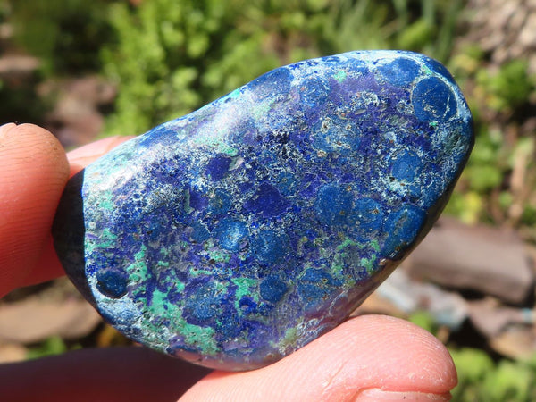 Polished Mini Blue Shattuckite Tumble Stones  x 35 From Congo
