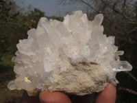 Natural Mixed Selection Of Quartz Clusters x 12 From Madagascar - TopRock