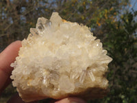 Natural Mixed Selection Of Quartz Clusters x 12 From Madagascar - TopRock