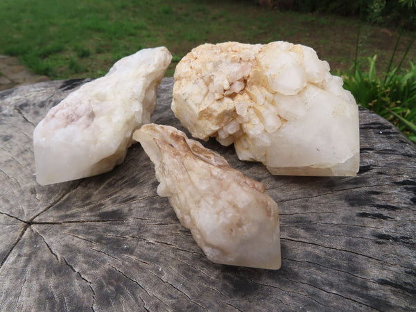 Natural Classic Large Pineapple Ananas Quartz Selected Crystals x 3 From Antsirabe, Madagascar - TopRock