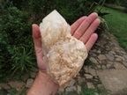 Natural Classic Large Pineapple Ananas Quartz Selected Crystals x 3 From Antsirabe, Madagascar - TopRock