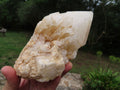 Natural Classic Large Pineapple Ananas Quartz Selected Crystals x 3 From Antsirabe, Madagascar - TopRock
