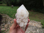 Natural Classic Large Pineapple Ananas Quartz Selected Crystals x 3 From Antsirabe, Madagascar - TopRock