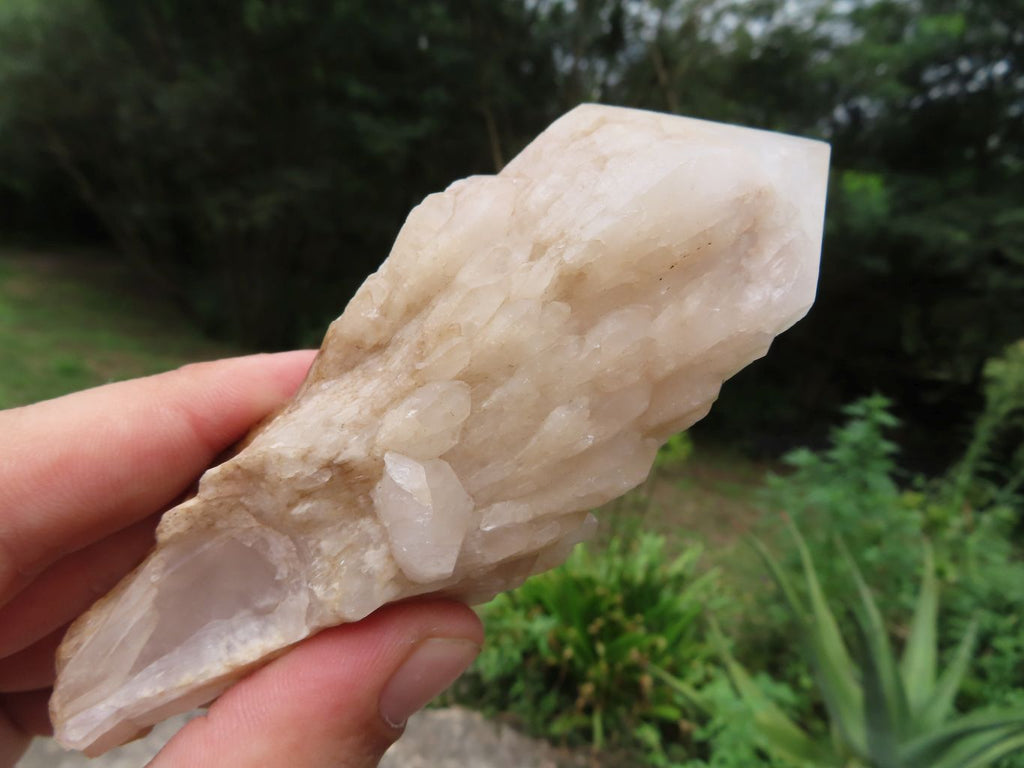 Natural Classic Large Pineapple Ananas Quartz Selected Crystals x 3 From Antsirabe, Madagascar - TopRock