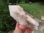 Natural Classic Large Pineapple Ananas Quartz Selected Crystals x 3 From Antsirabe, Madagascar - TopRock