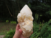 Natural Classic Large Pineapple Ananas Quartz Selected Crystals x 3 From Antsirabe, Madagascar - TopRock