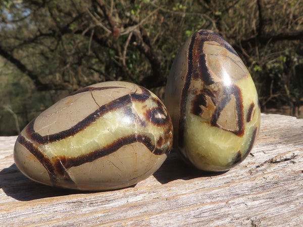 Polished Small Rare Complete Septerye (Calcite & Aragonite) Eggs x 6 From Mahajanga, Madagascar - TopRock