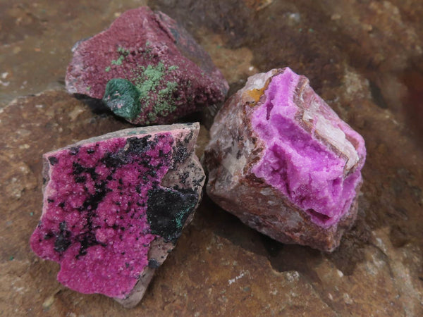 Natural Bright Pink Salrose Dolomite Specimens  x 35 From Kakanda, Congo - TopRock