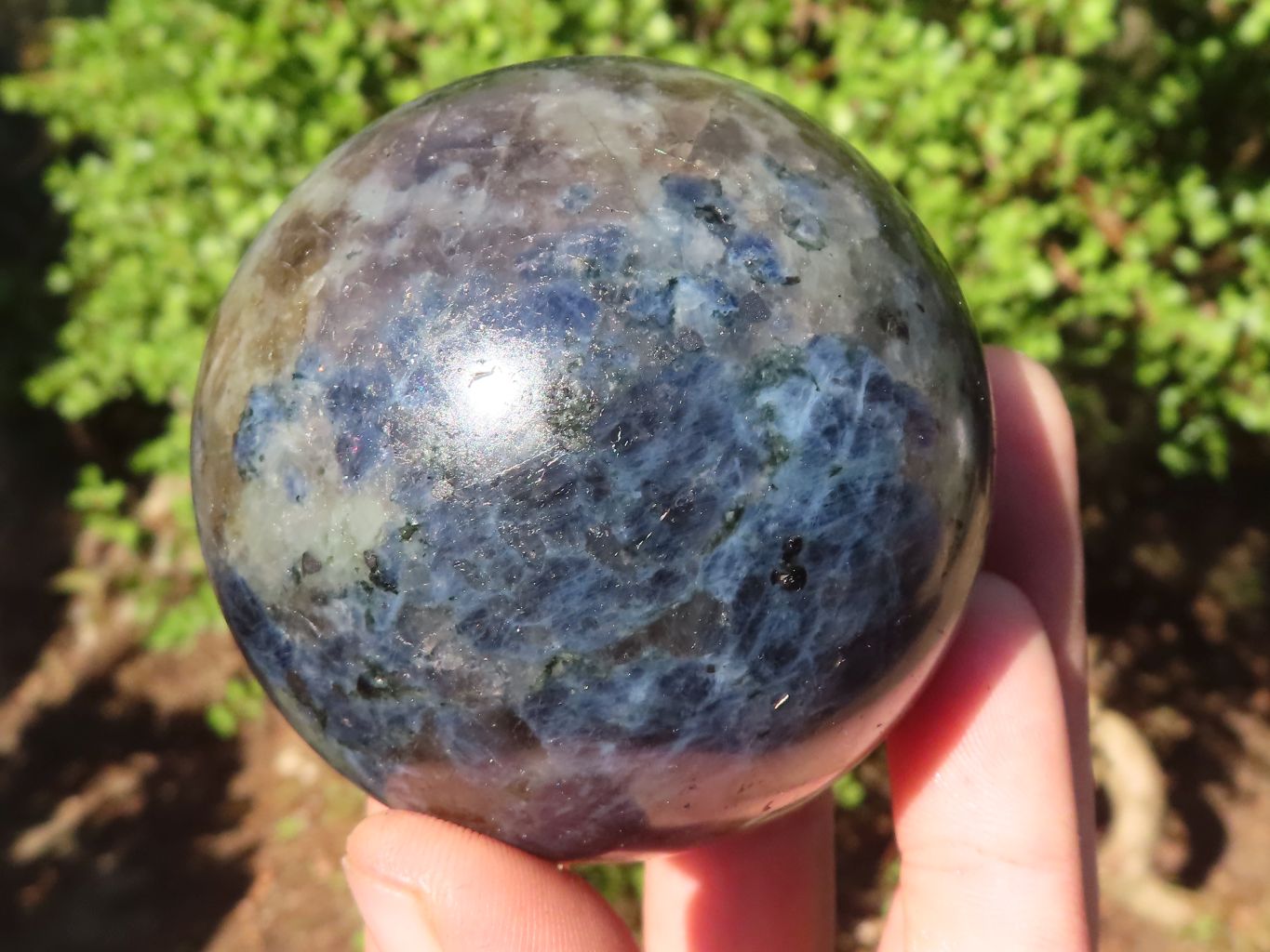 Polished Blue Iolite / Water Sapphire Spheres  x 2 From Northern Cape, South Africa - Toprock Gemstones and Minerals 