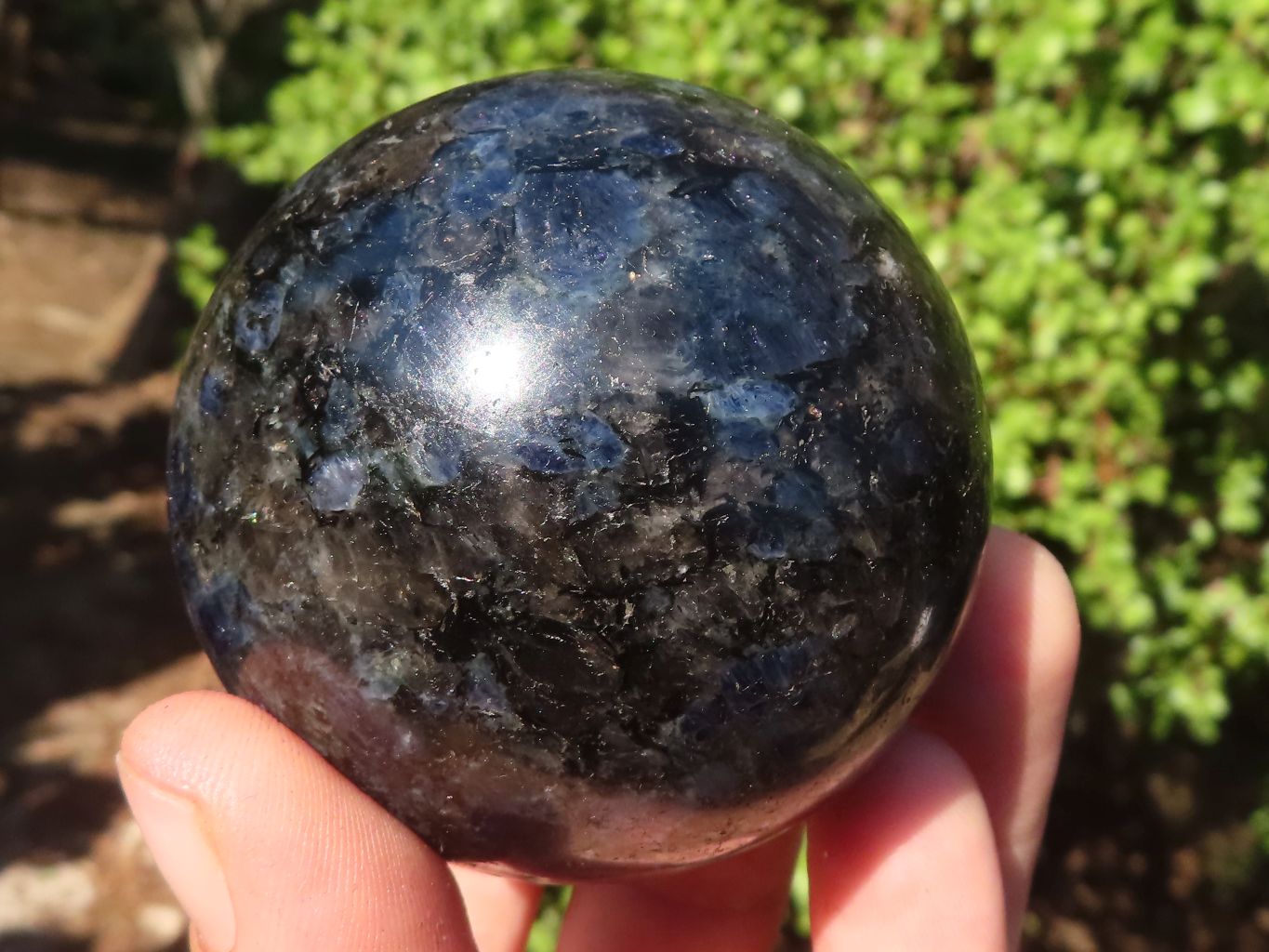 Polished Blue Iolite / Water Sapphire Spheres  x 2 From Northern Cape, South Africa - Toprock Gemstones and Minerals 