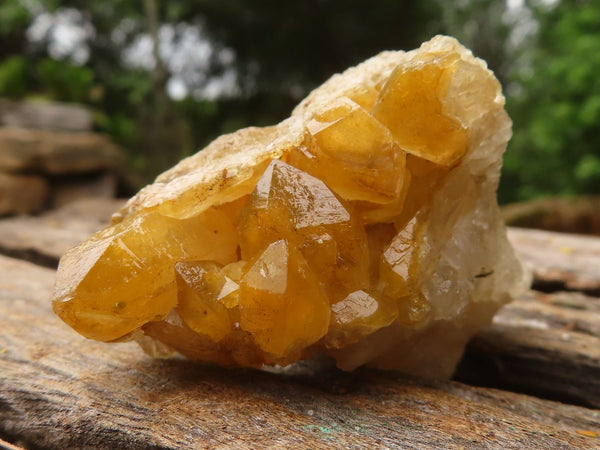 Natural Golden Limonite / Lemonite Quartz Clusters  x 35 From Zambia - TopRock
