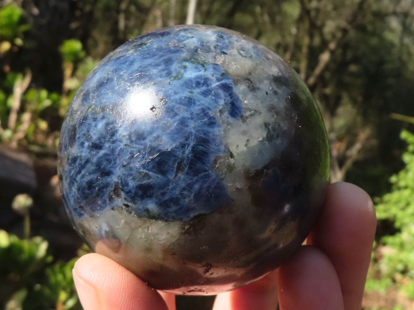 Polished Blue Iolite / Water Sapphire Spheres  x 2 From Northern Cape, South Africa - Toprock Gemstones and Minerals 