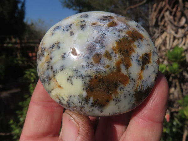 Polished Green & White Dendritic Opal Gallets x 12 From Madagascar - TopRock