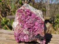 Natural Salrose Cobaltion Dolomite Specimen x 1 From Kakanda, Congo - Toprock Gemstones and Minerals 