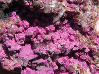 Natural Salrose Cobaltion Dolomite Specimen x 1 From Kakanda, Congo - Toprock Gemstones and Minerals 
