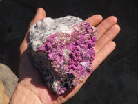 Natural Salrose Cobaltion Dolomite Specimen x 1 From Kakanda, Congo - Toprock Gemstones and Minerals 
