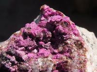 Natural Salrose Cobaltion Dolomite Specimen x 1 From Kakanda, Congo - Toprock Gemstones and Minerals 
