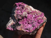 Natural Salrose Cobaltion Dolomite Specimen x 1 From Kakanda, Congo - Toprock Gemstones and Minerals 