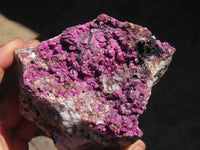 Natural Salrose Cobaltion Dolomite Specimen x 1 From Kakanda, Congo - Toprock Gemstones and Minerals 