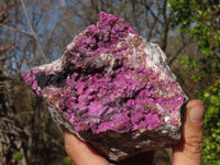 Natural Salrose Cobaltion Dolomite Specimen x 1 From Kakanda, Congo - Toprock Gemstones and Minerals 
