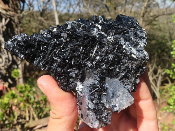 Natural Schorl Black Tourmaline Specimens With Vermiculite  x 4 From Erongo, Namibia