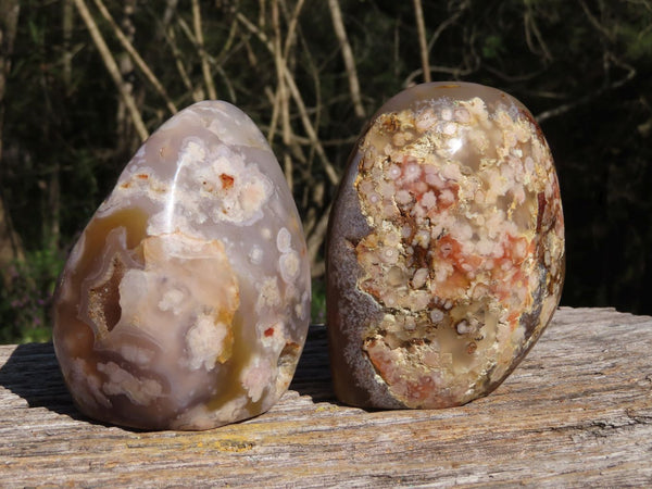 Polished Coral Flower Agate Standing Free Forms With Natural Crystalline Vugs x 2 From Madagascar - TopRock