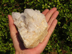 Natural "Cathedral Window" Candle Quartz Formations  x 3 From Madagascar - Toprock Gemstones and Minerals 