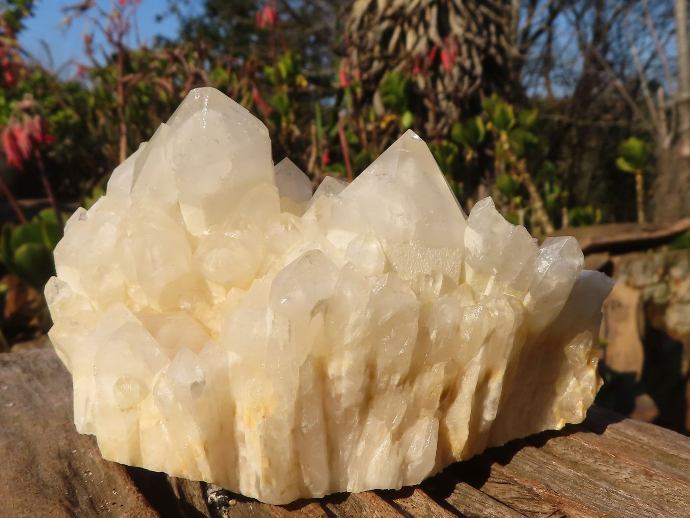 Natural "Cathedral Window" Candle Quartz Formations  x 3 From Madagascar - Toprock Gemstones and Minerals 
