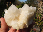 Natural "Cathedral Window" Candle Quartz Formations  x 3 From Madagascar - Toprock Gemstones and Minerals 
