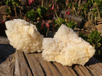 Natural "Cathedral Window" Candle Quartz Formations  x 3 From Madagascar - Toprock Gemstones and Minerals 