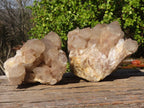 Natural White Phantom Smokey Quartz Clusters x 2 From Luena, Congo - Toprock Gemstones and Minerals 