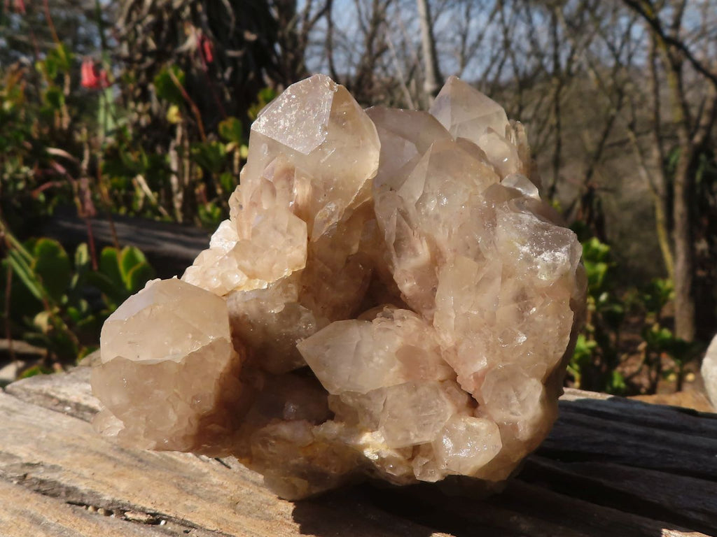 Natural White Phantom Smokey Quartz Clusters x 2 From Luena, Congo - Toprock Gemstones and Minerals 