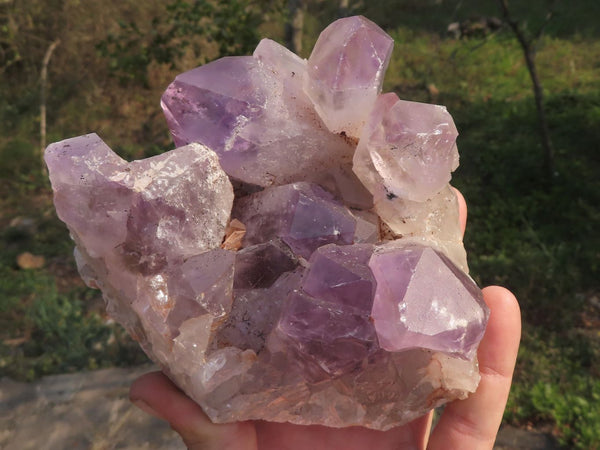 Natural Jacaranda Amethyst Clusters With Large Crystals   x 2 From Zambia - TopRock