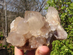 Natural White Phantom Smokey Quartz Clusters x 2 From Luena, Congo - Toprock Gemstones and Minerals 