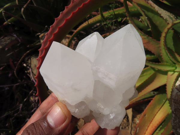Natural  Selected Quartz Crystal and Cluster Specimens  x 7 From Madagascar - TopRock