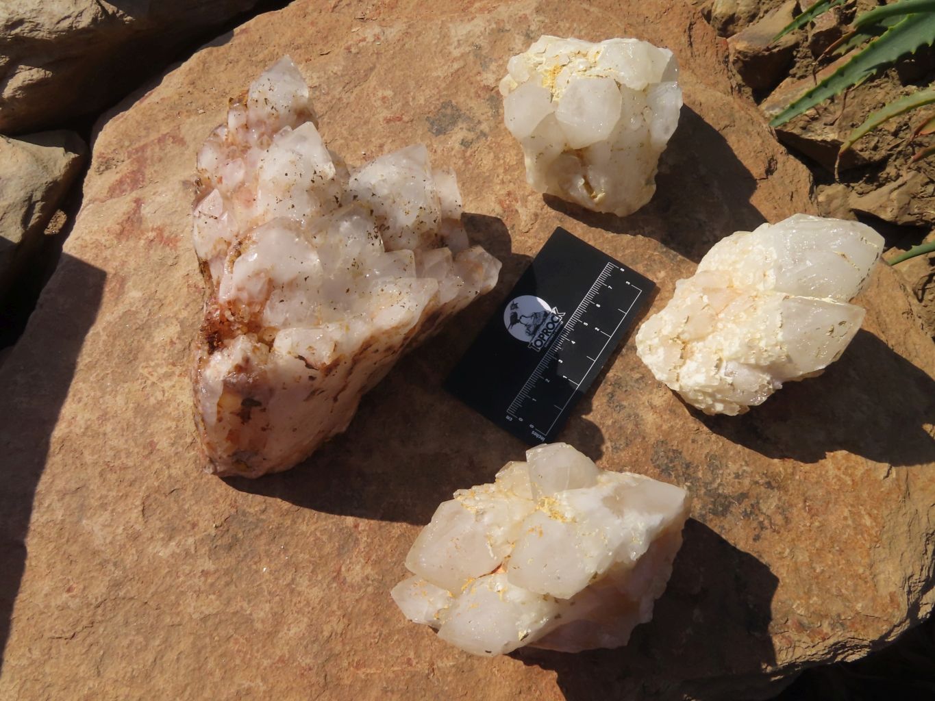Natural Cascading Quartz Clusters With Cathedral Window Faces x 4 From Ambatfinhandrana, Madagascar - TopRock