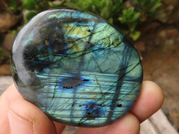 Polished Large Labradorite Palm Stones  x 12 From Madagascar - TopRock