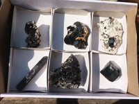 Natural Schorl Black Tourmaline Specimens x 6 From Erongo, Namibia