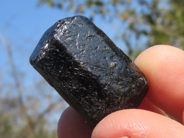 Natural Single Terminated Alluvial Black Schorl Tourmaline Crystals  x 69 From Zimbabwe - TopRock