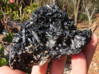 Natural Schorl Black Tourmaline Specimens x 6 From Erongo, Namibia