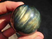 Polished Rare Flashy Labradorite Spheres x 6 From Tulear, Madagascar - Toprock Gemstones and Minerals 