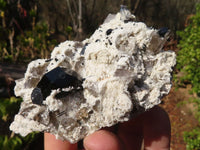 Natural Schorl Black Tourmaline Specimens x 6 From Erongo, Namibia